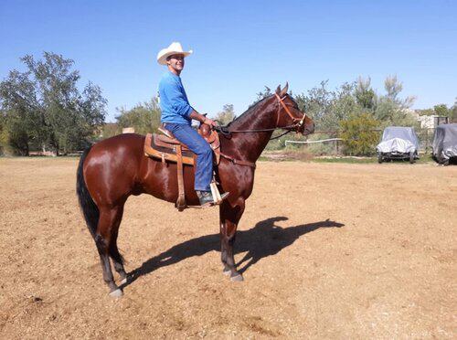 Position Wanted Horse Ranch Caretaker