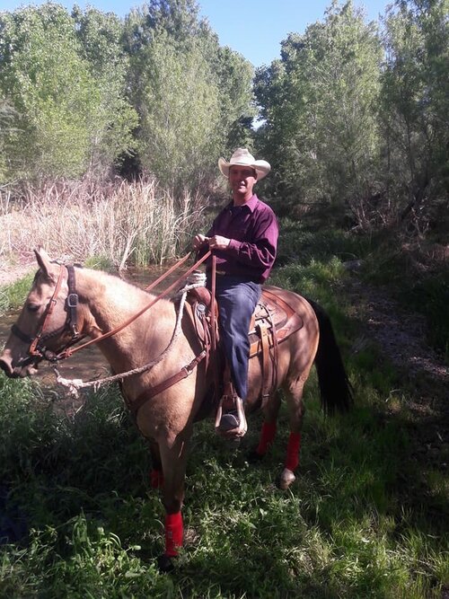 Position Wanted Horse Ranch Caretaker