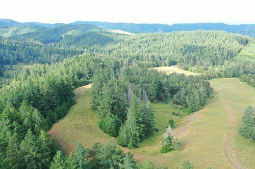 Ranch Foreman needed at Familyowned Cow/Calf operation in Oregon
