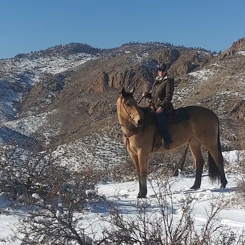 Position Wanted Equine Ranch Manager / Caretaker