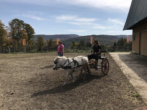 Reliable Caretaker(s) needed at 30 Acre farm/ranch in Central Vermont