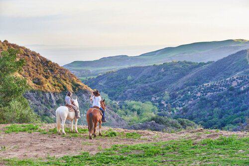Wrangler / Guide needed at Guest Ranch in Santa Barbara, California