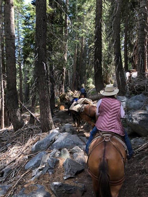 Mule Packer / Guide needed in California