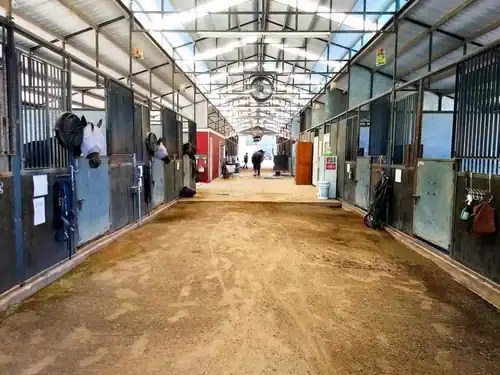 Equine Caregiver needed at Private Horse Care Facility in Camp Verde, AZ Couples