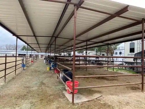 Equine Caregiver needed at Private Horse Care Facility in Camp Verde, AZ Couples