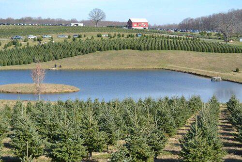 Ranch Worker / Groundskeeper needed near San Diego, California