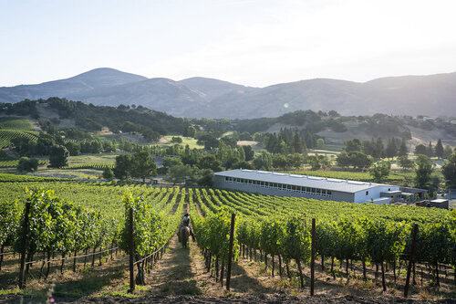 Groom / Barn Supervisor needed in Napa, California