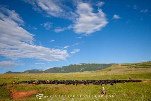 Cabin Maid / Kitchen Assistant needed at Working Guest Ranch in Lovell