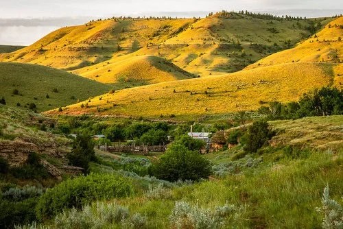 Cabin Maid / Kitchen Assistant needed at Working Guest Ranch in Lovell