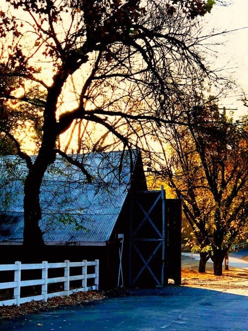 Wrangler / Ranch Hand needed for Napa Valley Horseback Tours in