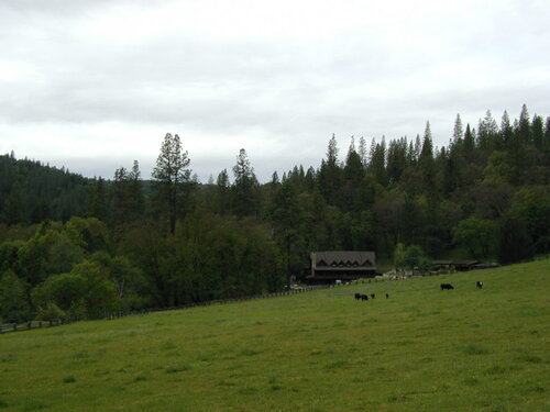 Ranch Couple Team needed on 1,200acre Ranch in Northern California