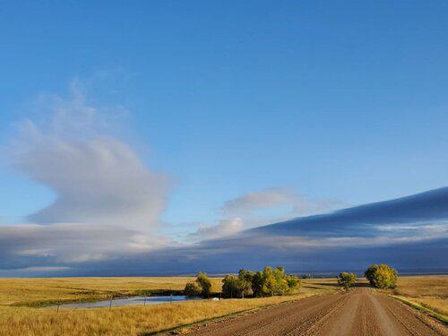 Longterm Farm & Ranch Hand needed in Northeastern Montana