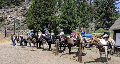 Seasonal Packer / Trail Guide needed in California for 2021 Season