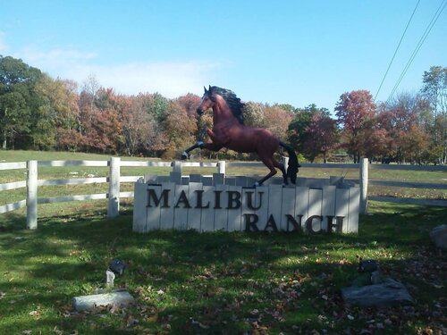 Chef Needed at Pennsylvania Dude Ranch