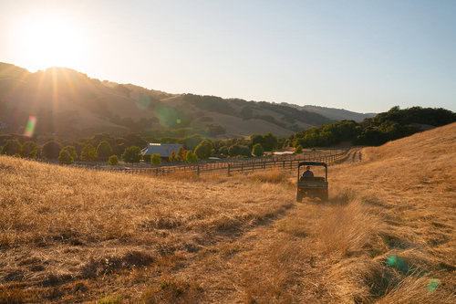 Property Manager (FT) & Horse Barn Help (PT) Couple needed at Private