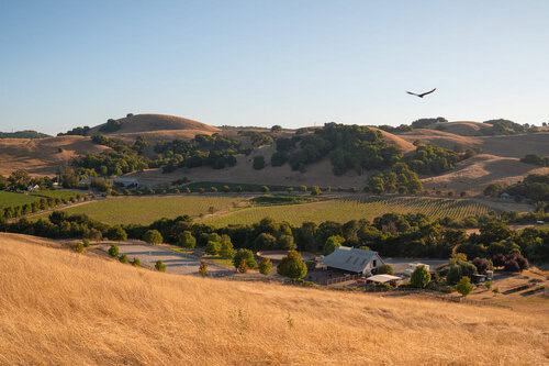 Property Manager (FT) & Horse Barn Help (PT) Couple needed at Private