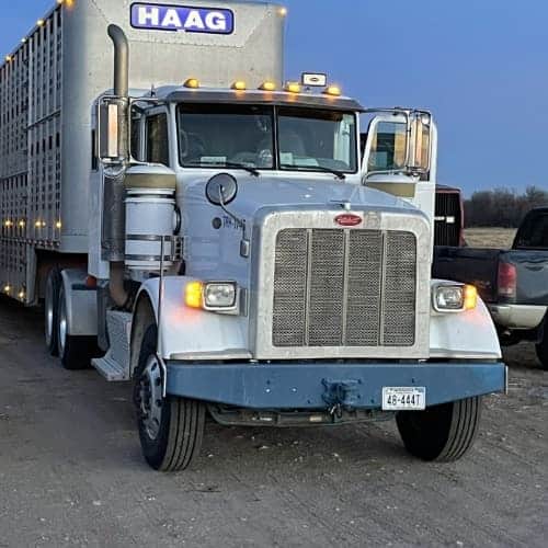 Livestock Manager needed at Farming & Ranching Operation in SW Nebraska