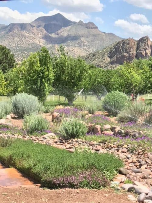 Assistant Ranch Manager needed at Remote Rescue Ranch in Arizona