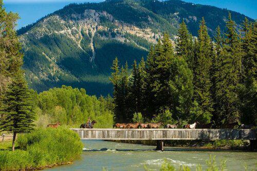 Childcare Coordinator, Housekeeping/Waitstaff, Guest Services needed at