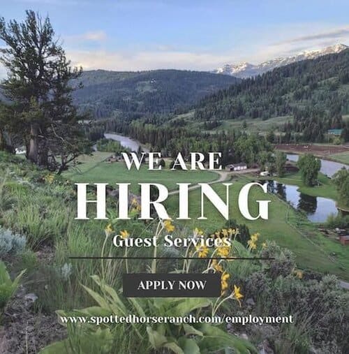 Childcare Coordinator, Housekeeping/Waitstaff, Guest Services needed at