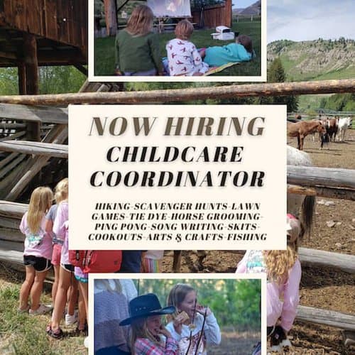 Childcare Coordinator, Housekeeping/Waitstaff, Guest Services needed at