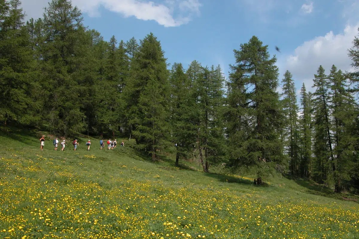 H2 Les chalets d'alpage du Queyras en hôtel 3***, Destinations Queyras