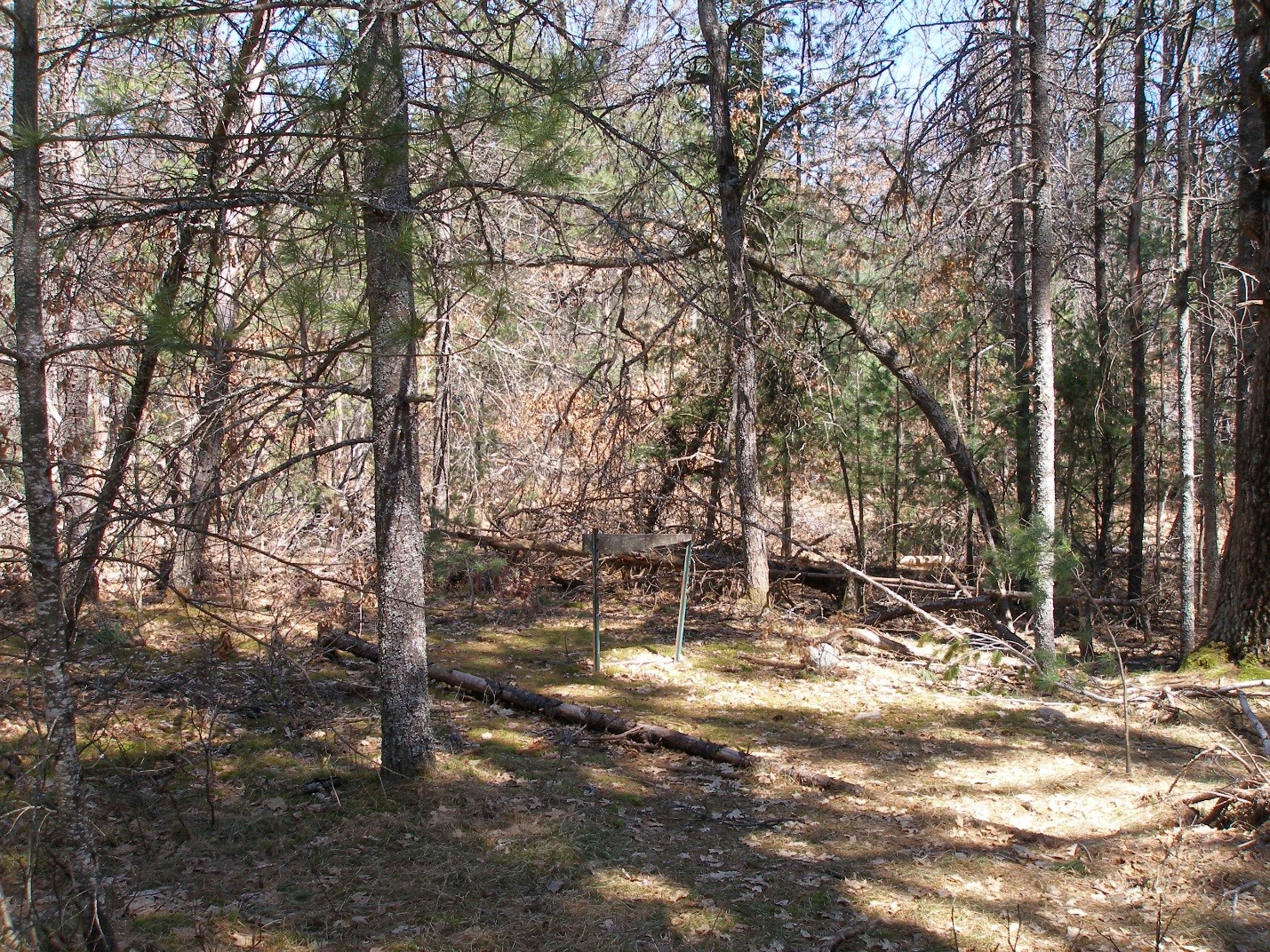 A Ticket to Hell The Long, Lost Town of Walton Junction Randy D Pearson