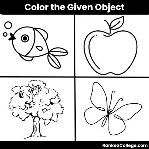 Worksheet for Nursery Class (All Subjects)