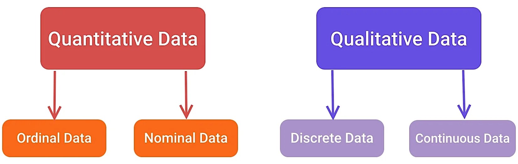 4 Different Types Of Data [With Examples] RankRed