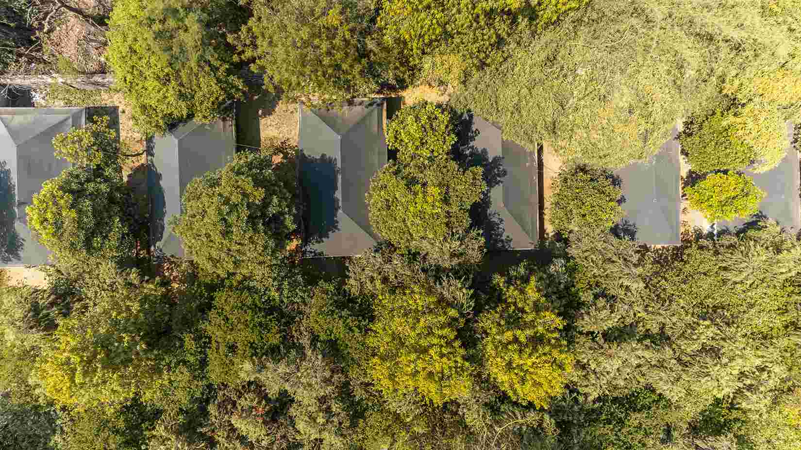 Luxury stay in Ranthambore Tiger Machan