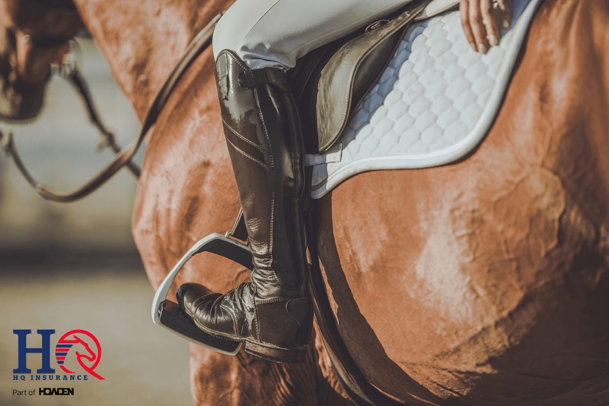 Should I insure my horse? Ranvet