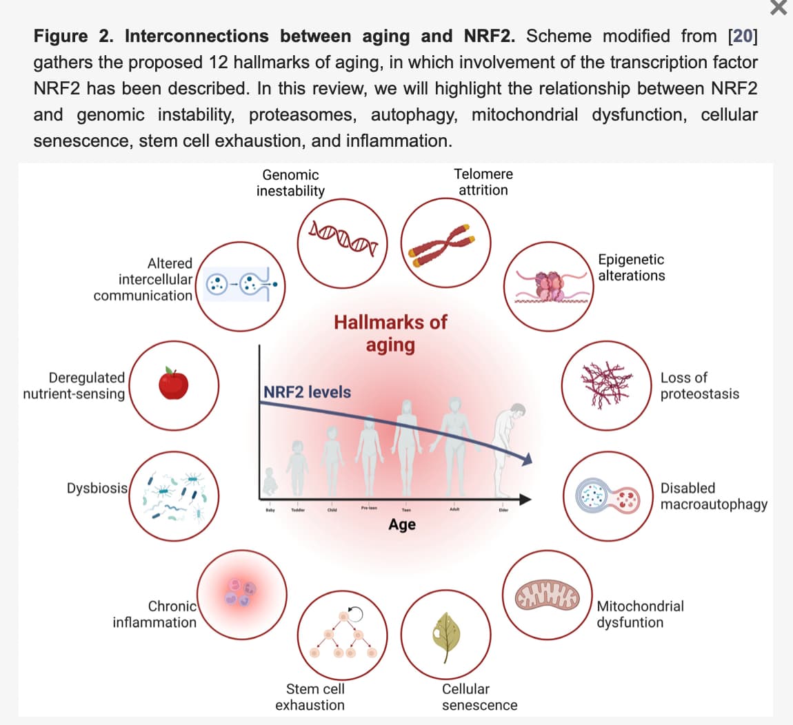 Role of the Transcription Factor NRF2 in Neurodegenerative Disorders