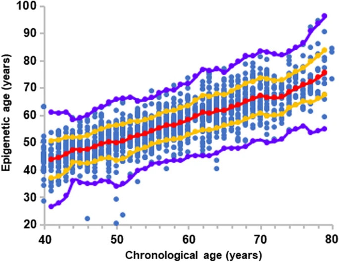 What is the greatest difference between chronological and DNAm age seen across each
