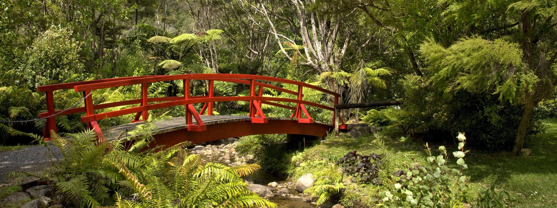 RAPAURA Water Gardens Thames Coromandel Peninsula