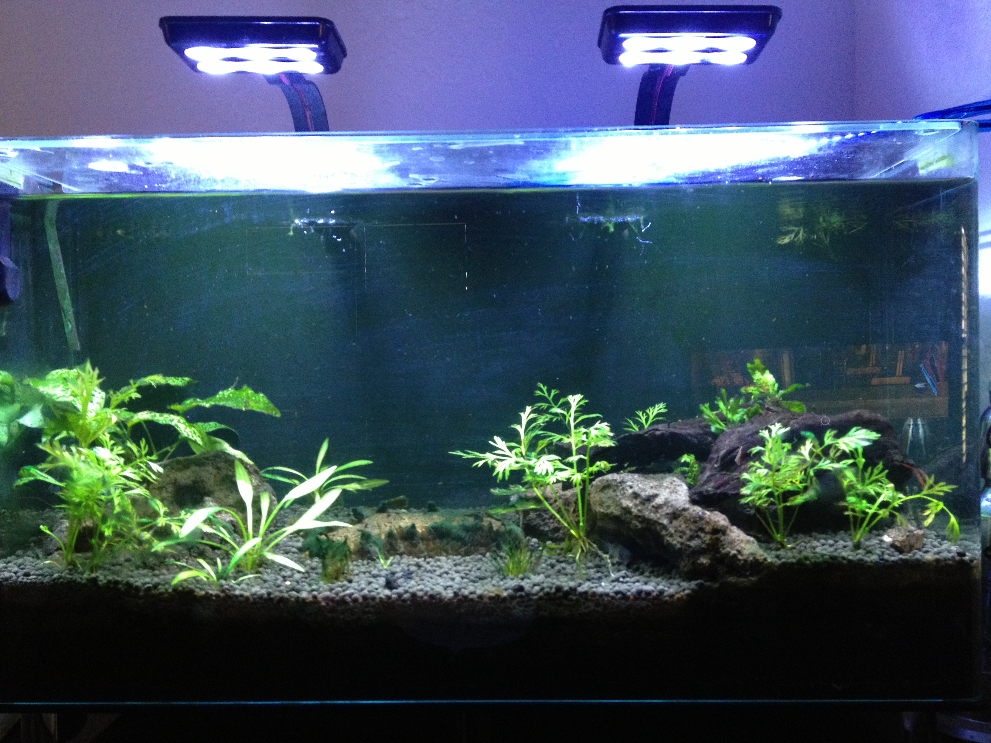 16 gallon tank – Raph's Website