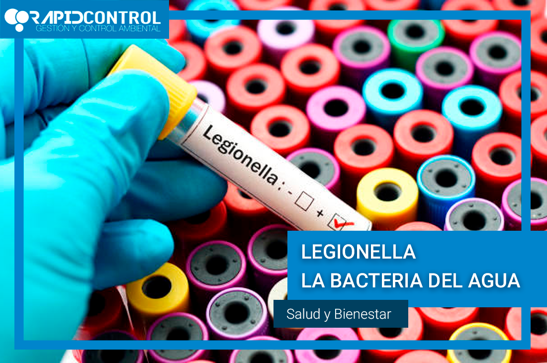LEGIONELLA, QUÉ ES Y COMO SE TRANSMITE