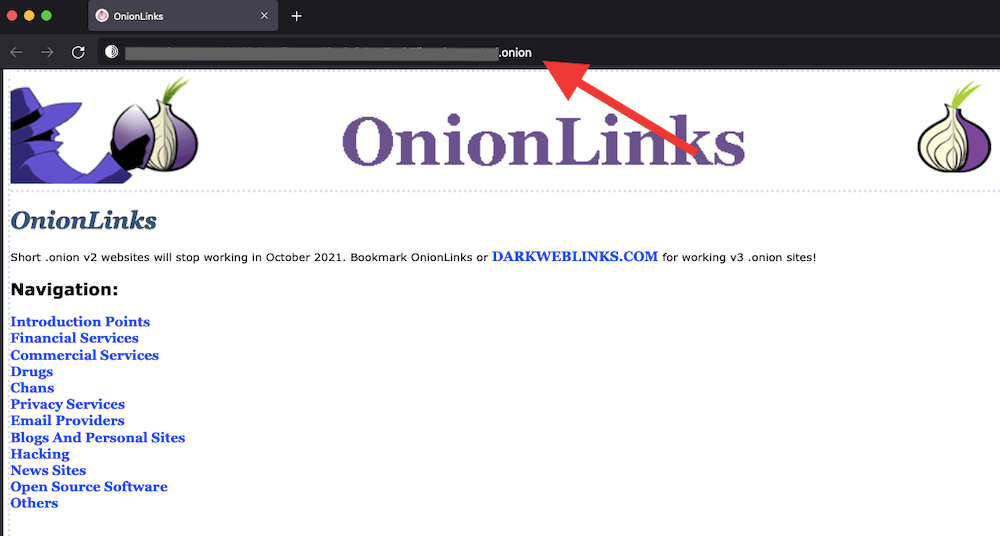 Is Tor Browser Safe? A Guide to Online Privacy with Tor Browser