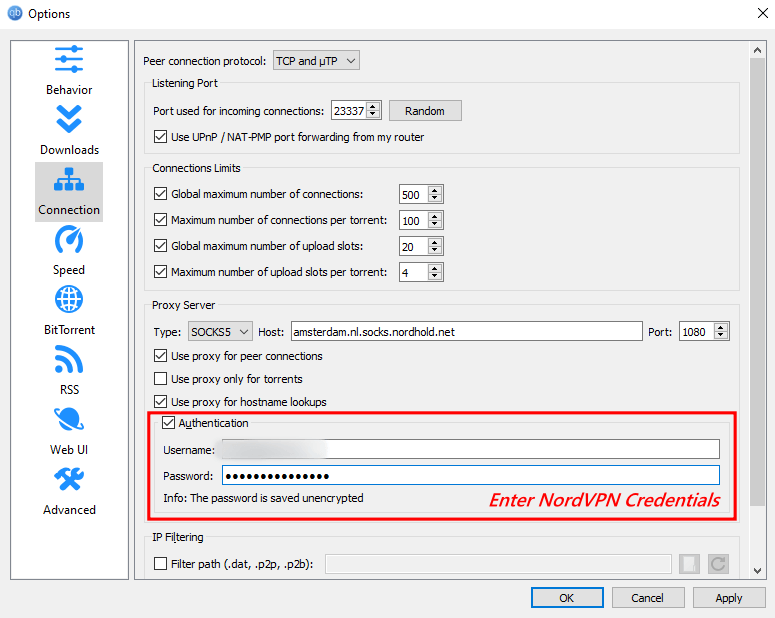 Using NordVPN qBittorrent in 2024 Full Guide — RapidSeedbox