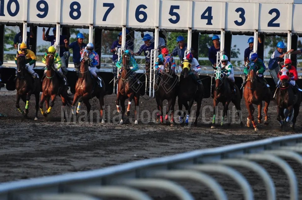 Manila Jockey Club to stop horse racing operations, pivot to real
