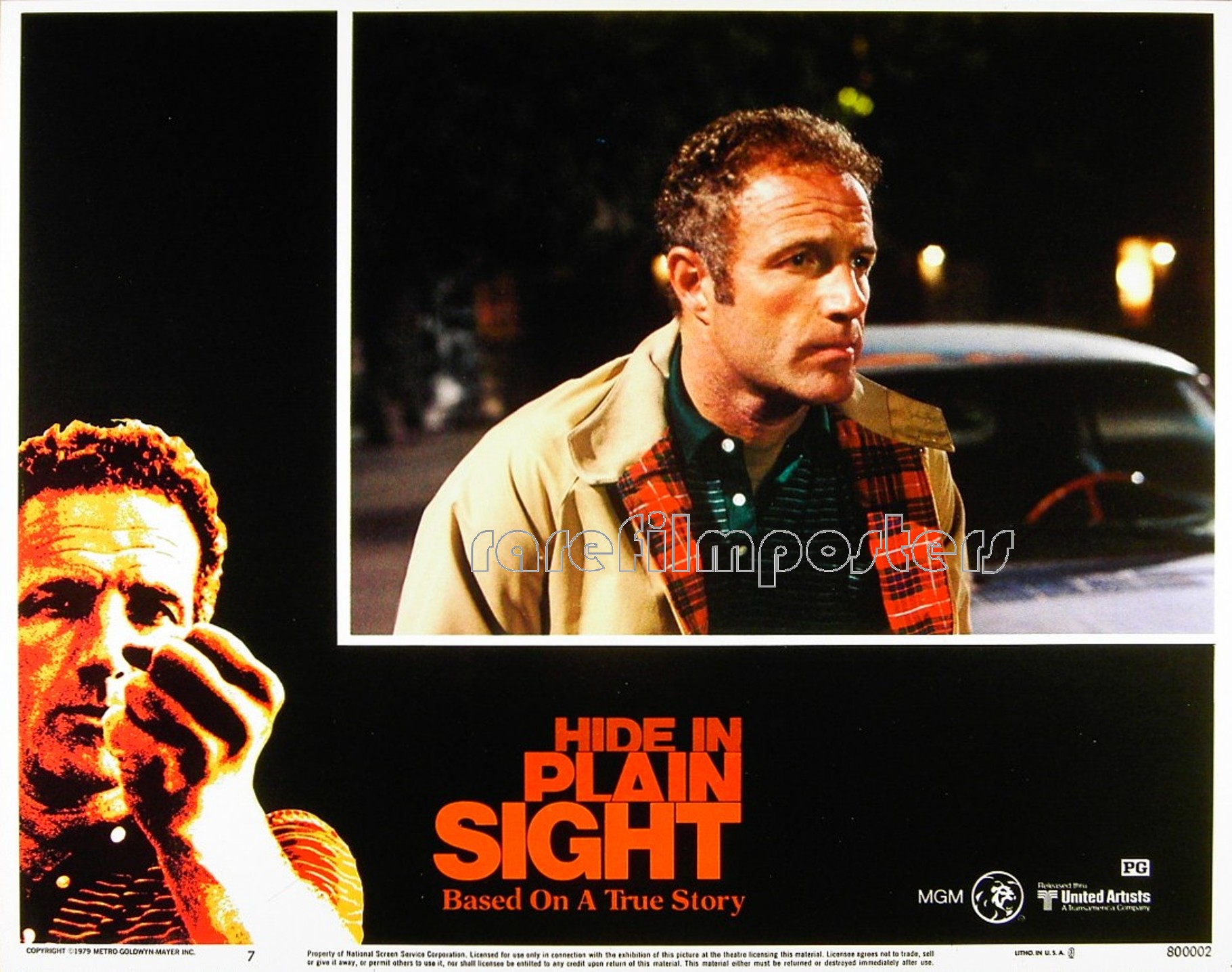 HIDE IN PLAIN SIGHT Rare Film Posters