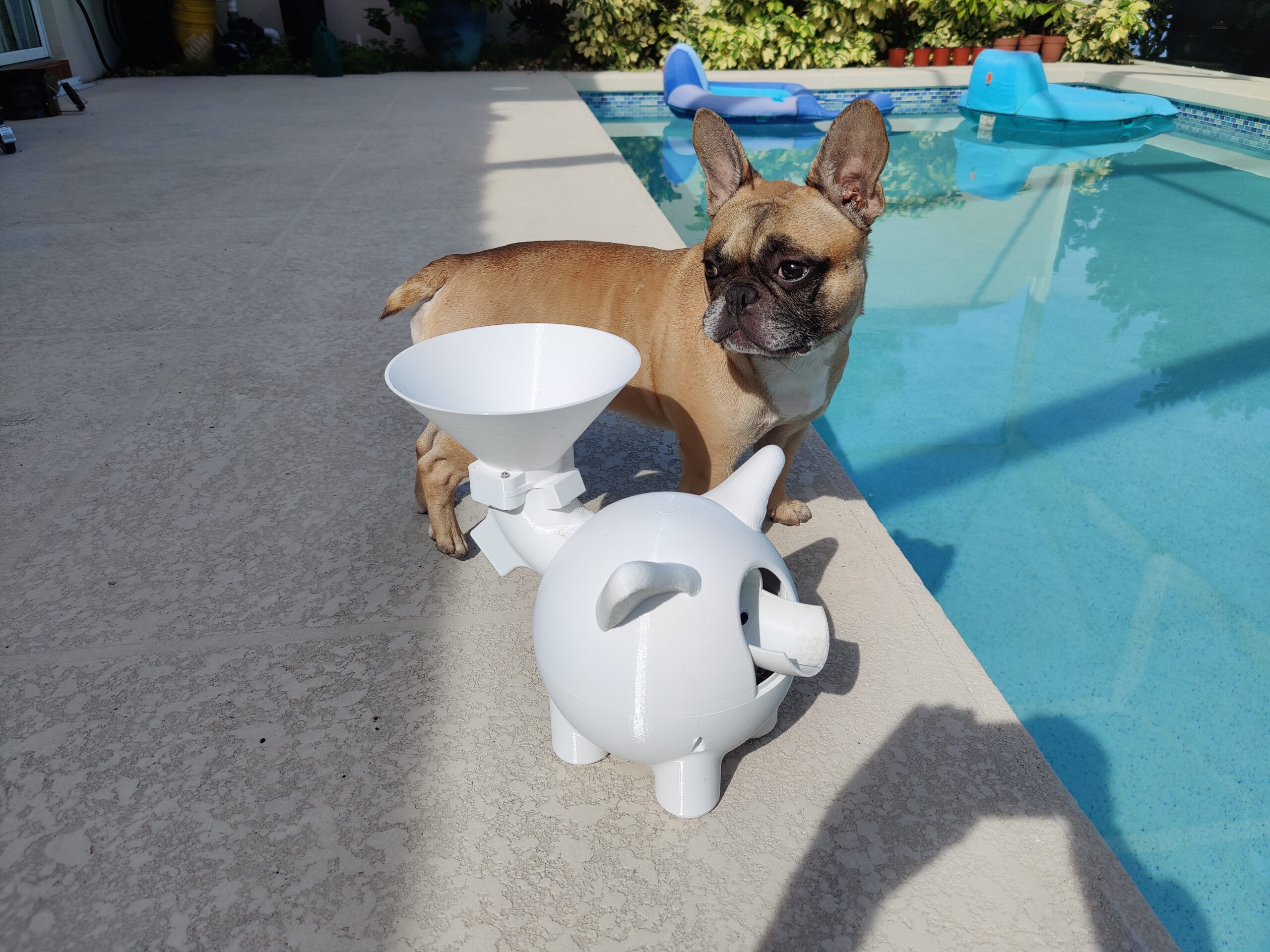 Homemade Automatic Dog Ball Thrower Home Alqu