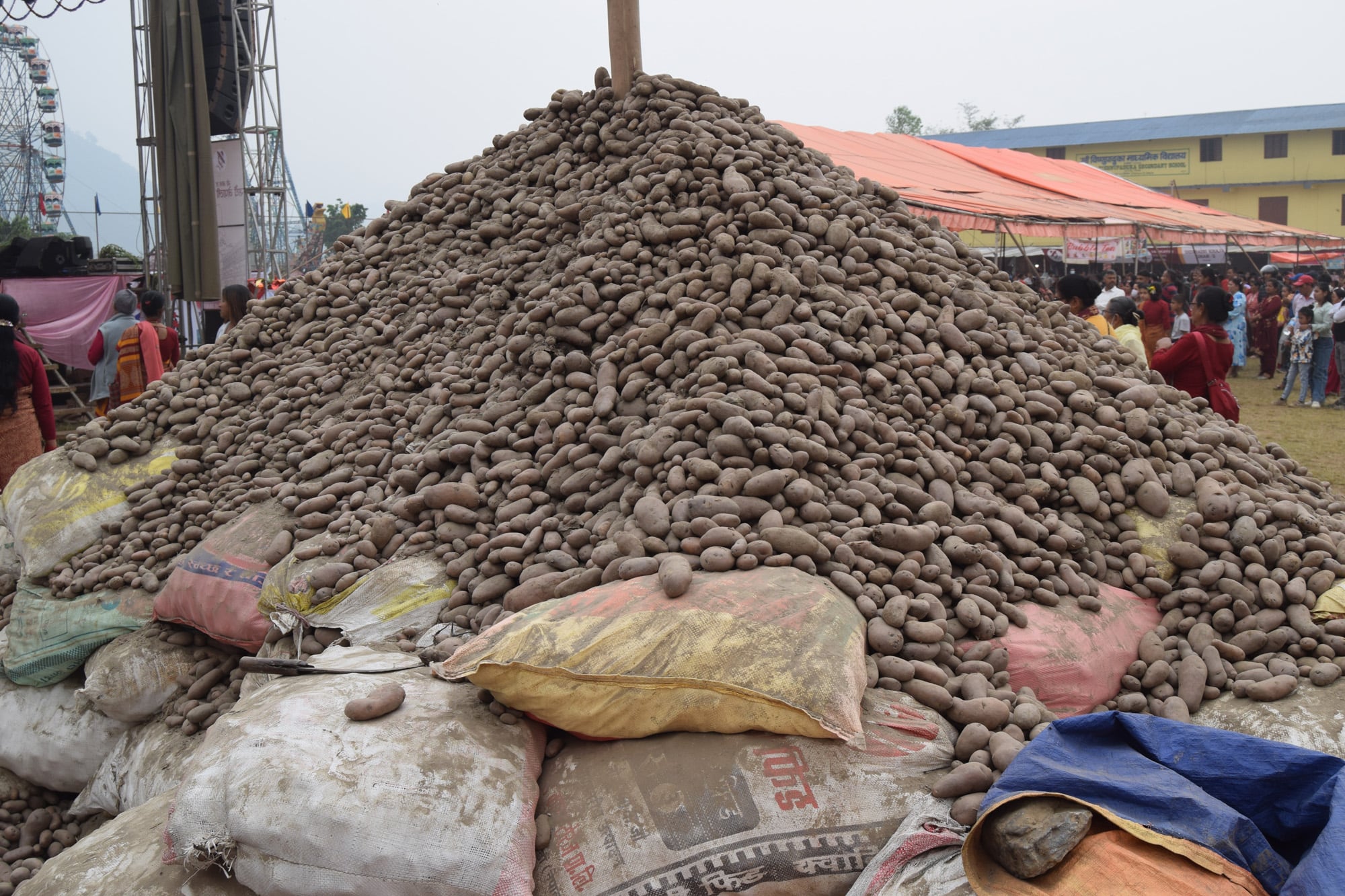 Messenger_creation_8D35263F-4F9A-4B5E-9DCF-04BBADC713DF