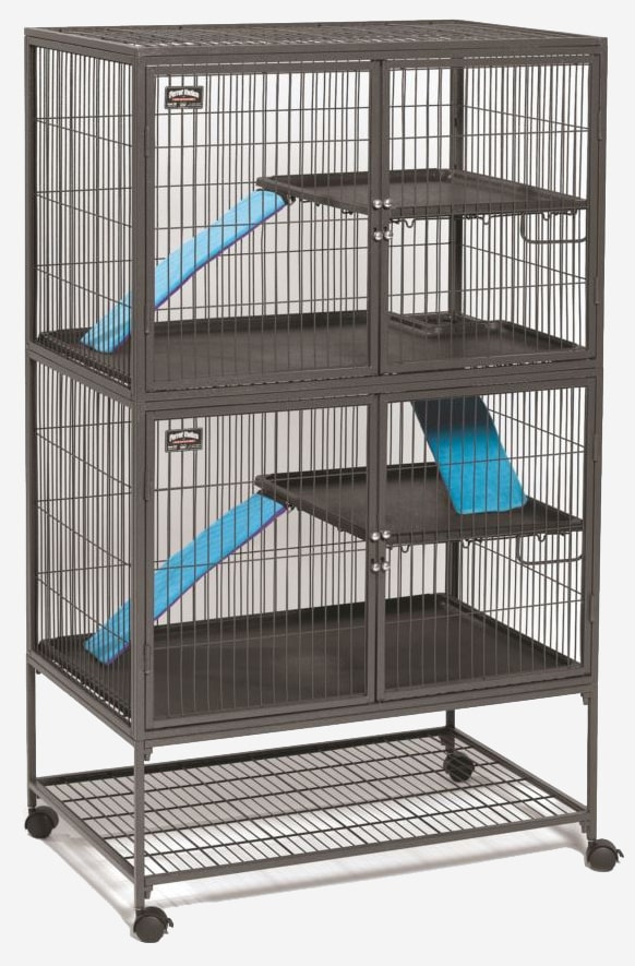 Best Rat Cages Review 2018 Top 5 Comparison + Buying Guide