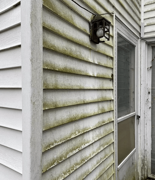 Virginia House Sold with Stranger Living in Basement Rate Zip