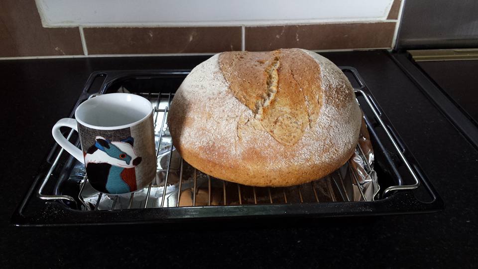 Word fuel bread