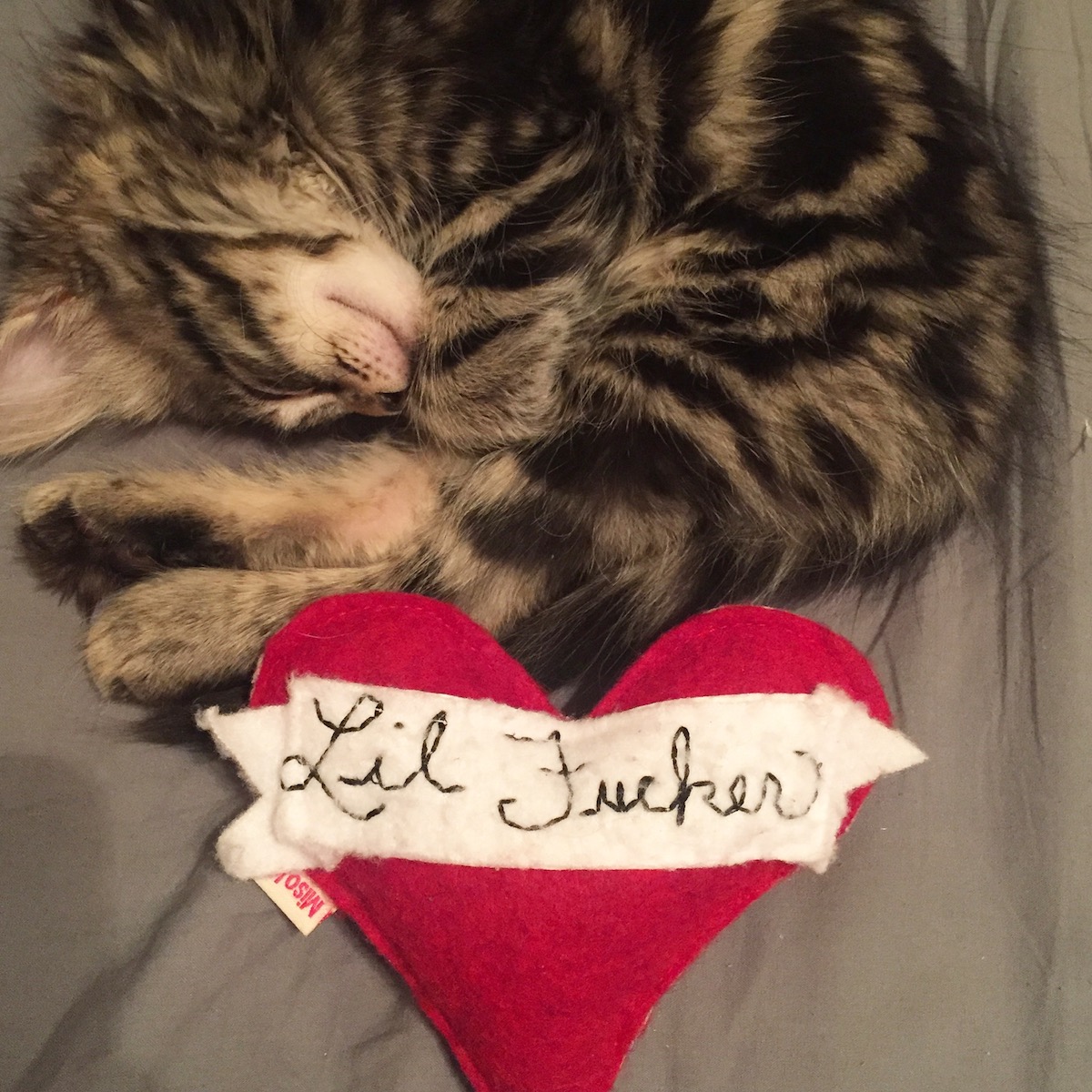 5 Reasons Having A Cat Is Great For Your Mental Health Ravishly