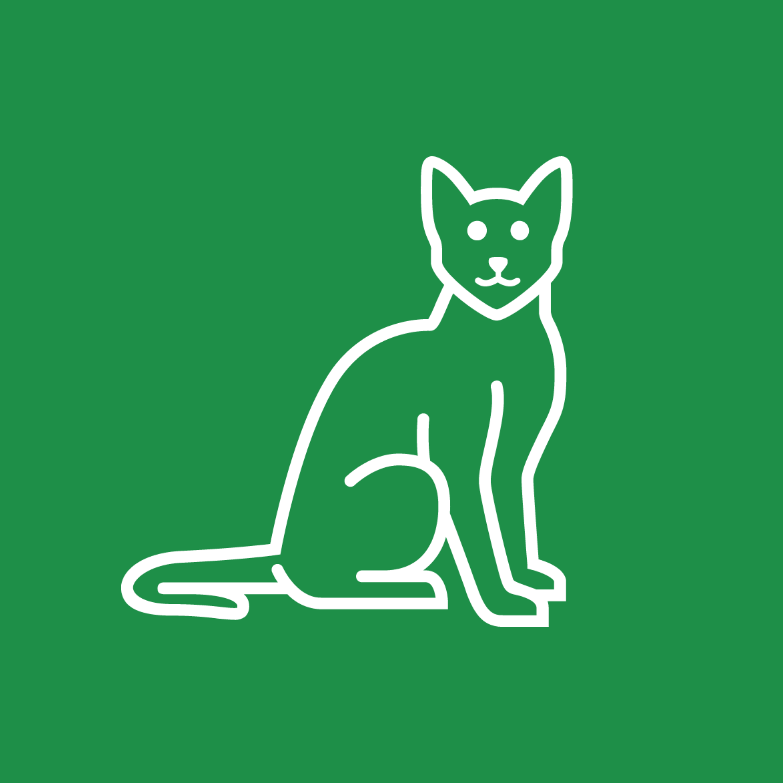 Raw Cat Food A Practical How To Guide I Raw Essentials