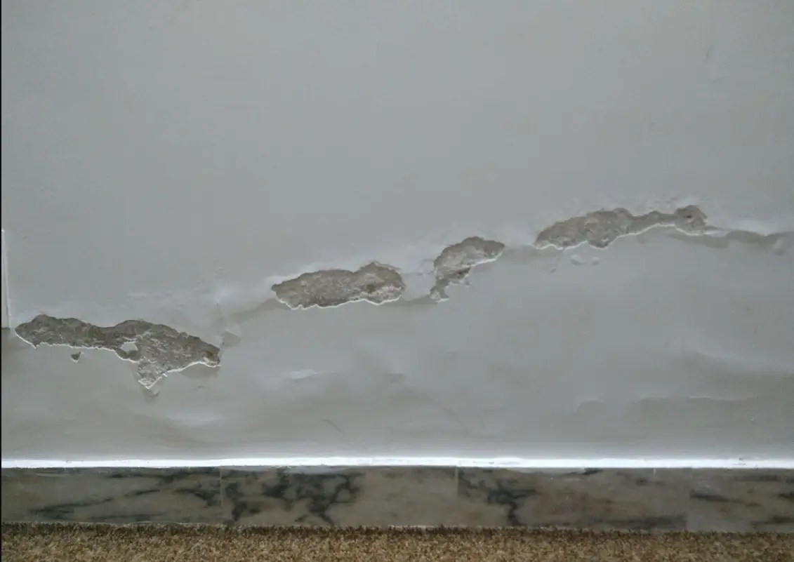 Fixing Water Damage at Work and Home Rawlins Paints Blog