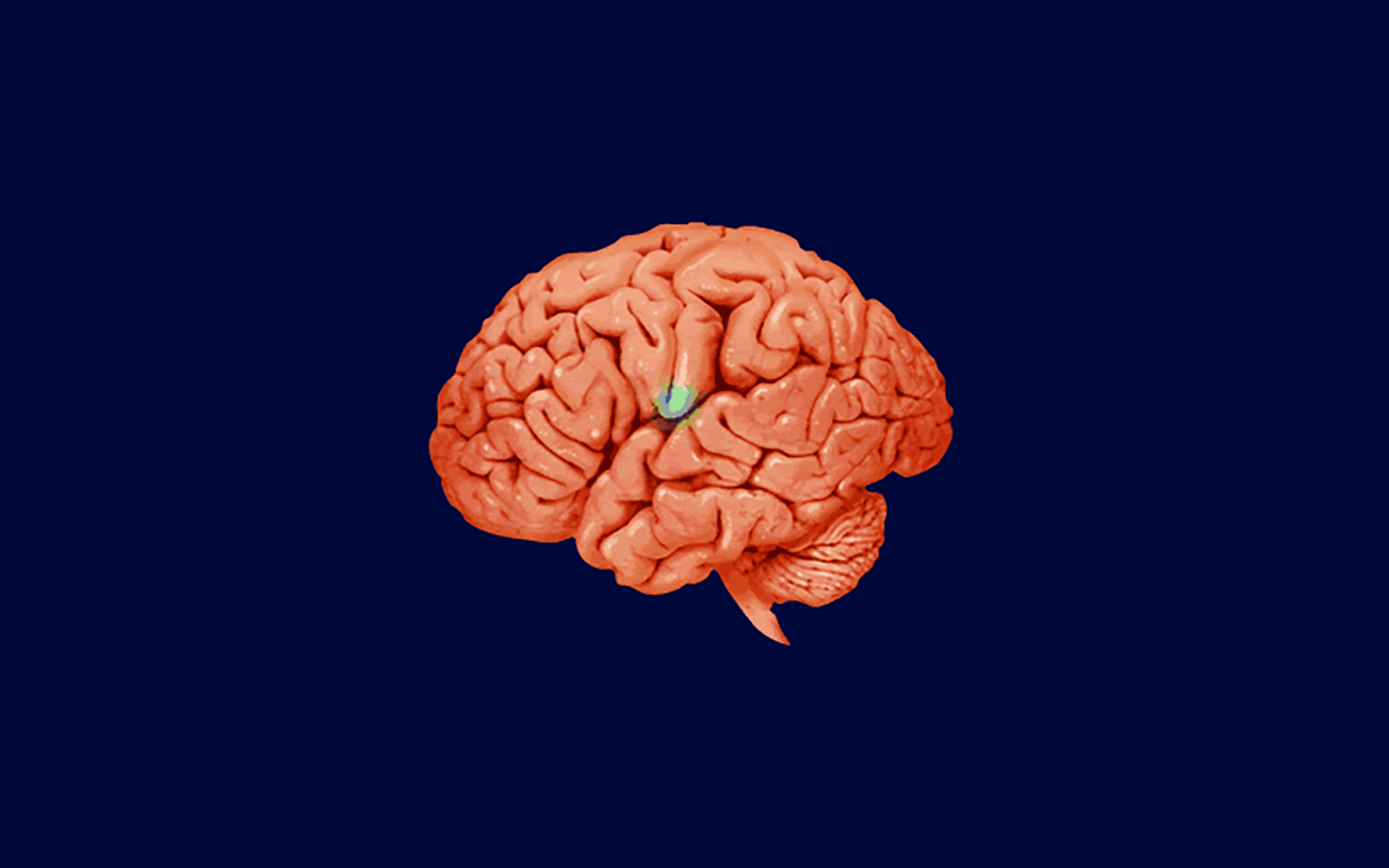Neuromarketing Gifs