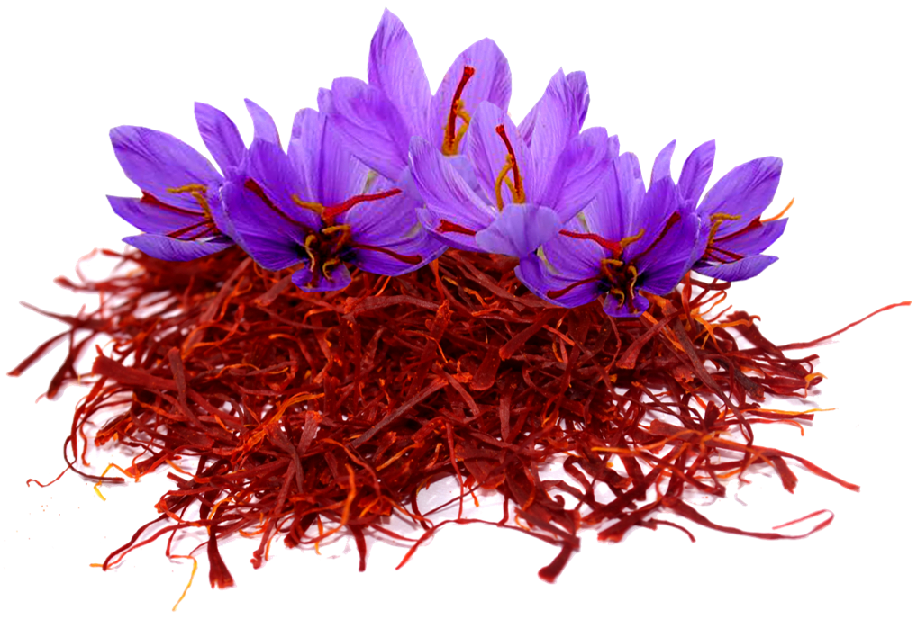 ABOUT SAFFRON RAYAN SAFFRON CO.